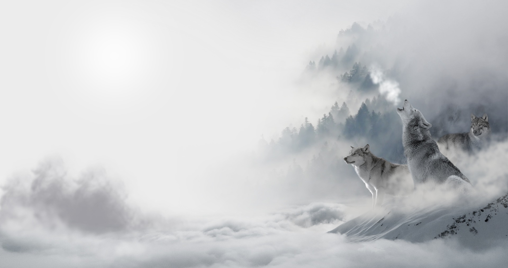ワンナイト人狼の基本ルールと役職解説